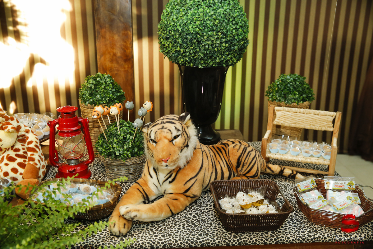 fotografia-fotografo-sergio-soares-aniversario-niver-tomas