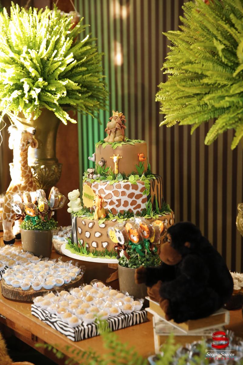 fotografia-fotografo-sergio-soares-aniversario-niver-tomas