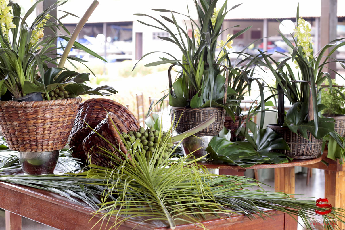 fotografo-fotografia-cuiaba-mt-brasil-aniersario-80-anos-milad-alexandre