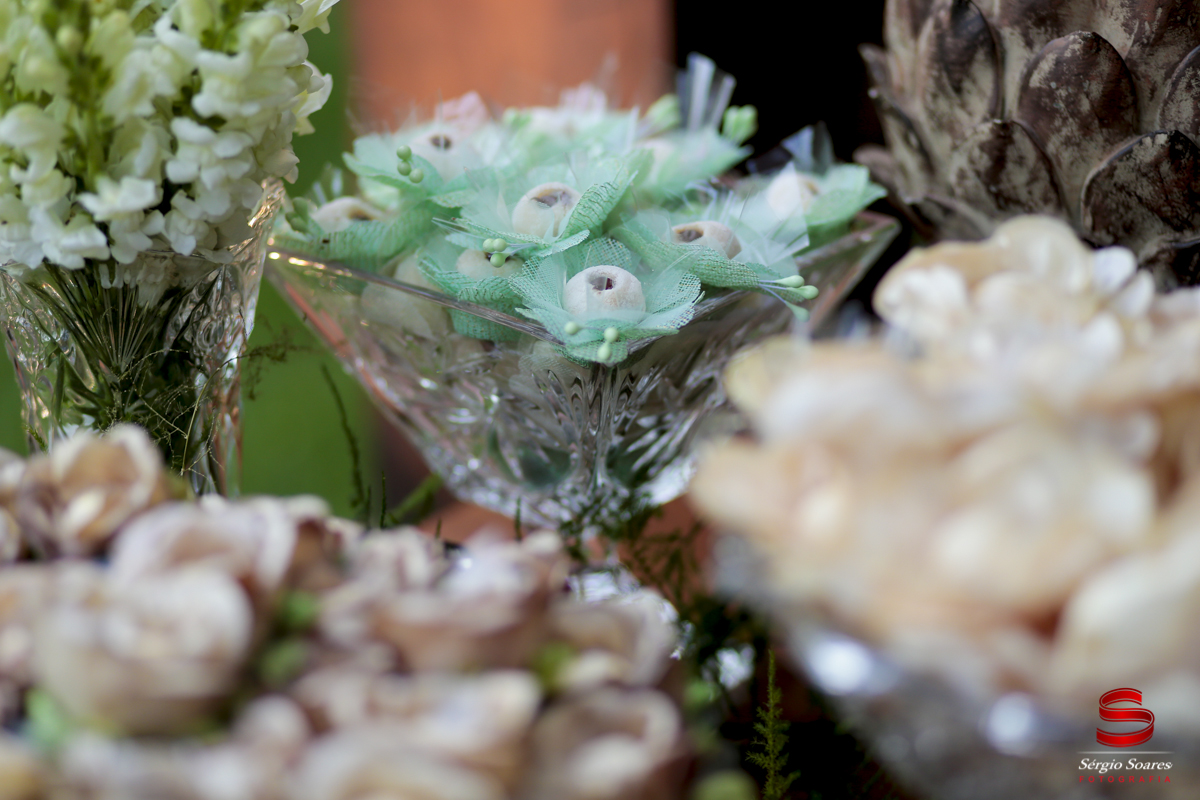 fotografia-fotografo-sergio-soares-fotografia-mt-cuiaba-brasil-fotos-de-casamento-book-aniversarios-casamento-lidiane-rodrigo