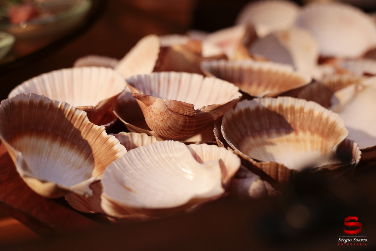 fotografia-fotografo-sergio-soares-cuiaba-aniversario-23-anos-rayssa-scheffer