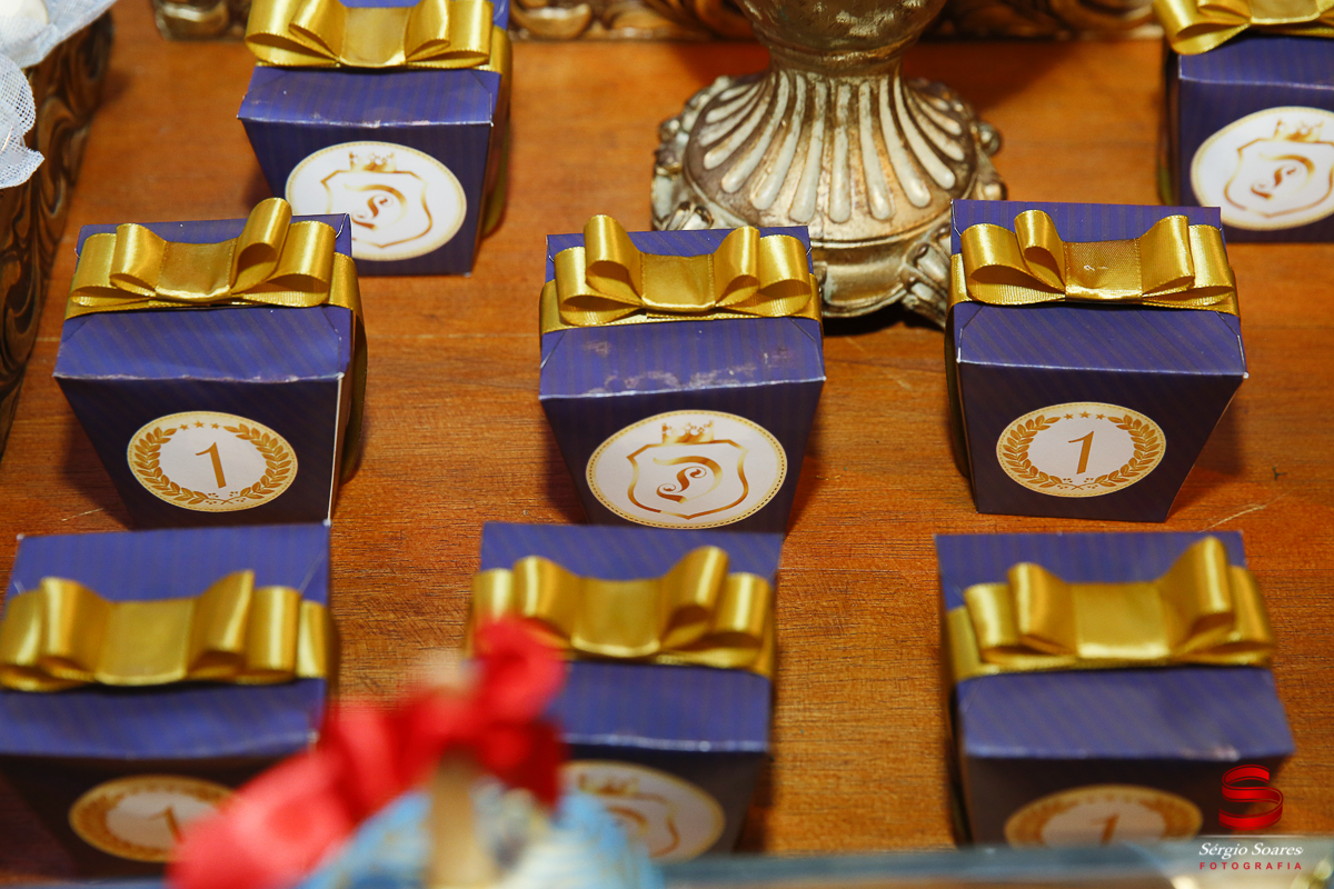 fotografia-fotografo-sergio-soares-cuiaba-mato-grosso-brasil-aniversario-davi-infantil