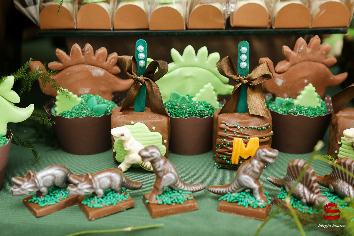 fotografia-fotografo-sergio-soares-cuiaba-mato-grosso-brasil-aniversarios-casamentos-niver-mateus-miguel