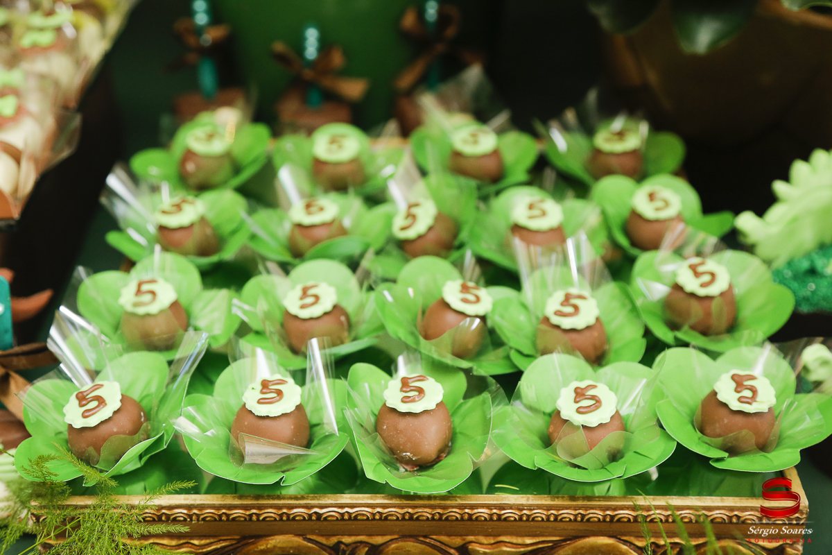 fotografia-fotografo-sergio-soares-cuiaba-mato-grosso-brasil-aniversarios-casamentos-niver-mateus-miguel