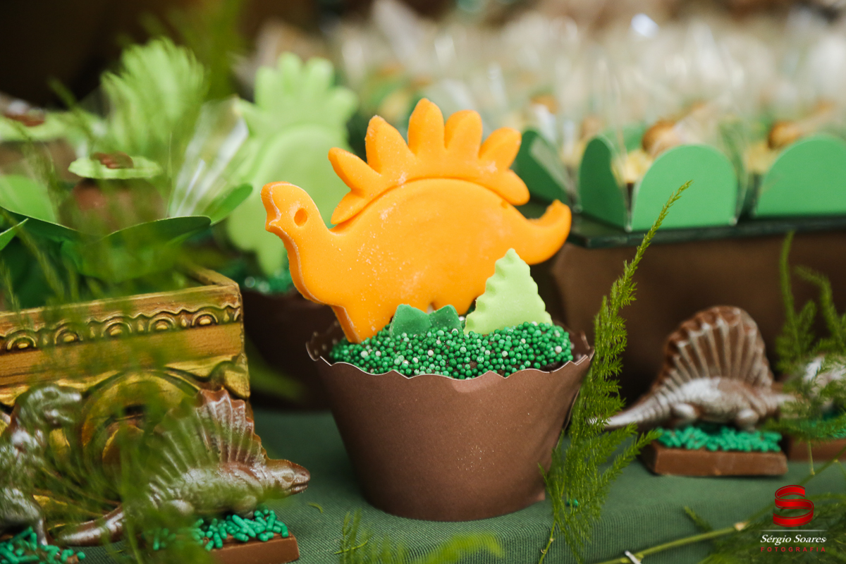 fotografia-fotografo-sergio-soares-cuiaba-mato-grosso-brasil-aniversarios-casamentos-niver-mateus-miguel