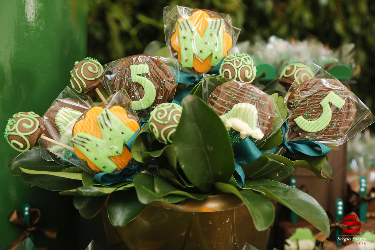 fotografia-fotografo-sergio-soares-cuiaba-mato-grosso-brasil-aniversarios-casamentos-niver-mateus-miguel