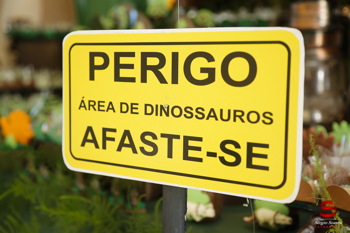 fotografia-fotografo-sergio-soares-cuiaba-mato-grosso-brasil-aniversarios-casamentos-niver-mateus-miguel