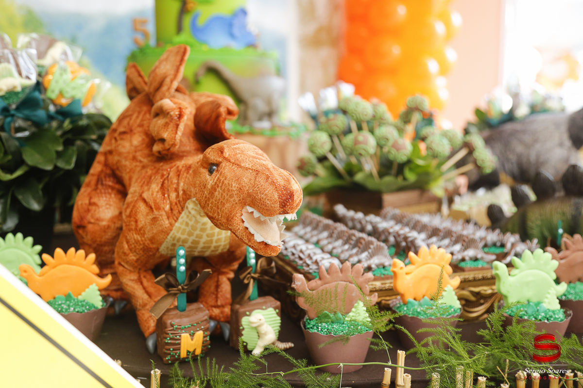 fotografia-fotografo-sergio-soares-cuiaba-mato-grosso-brasil-aniversarios-casamentos-niver-mateus-miguel