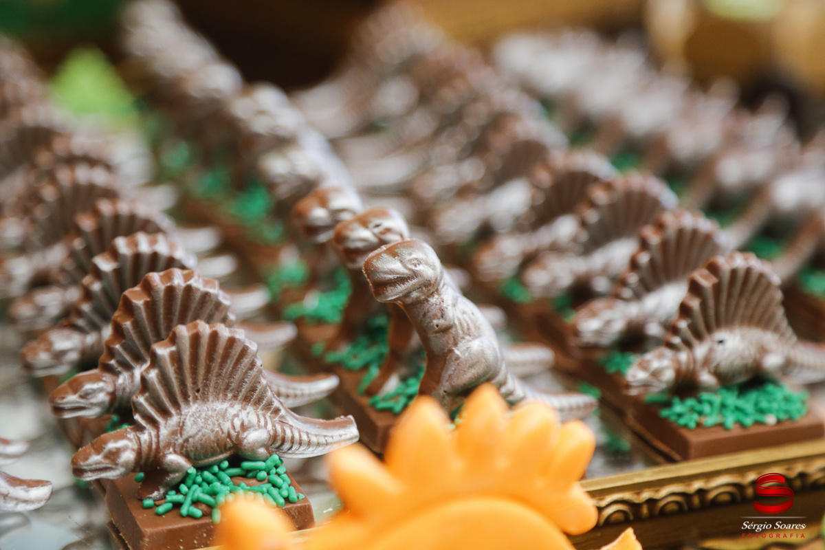 fotografia-fotografo-sergio-soares-cuiaba-mato-grosso-brasil-aniversarios-casamentos-niver-mateus-miguel