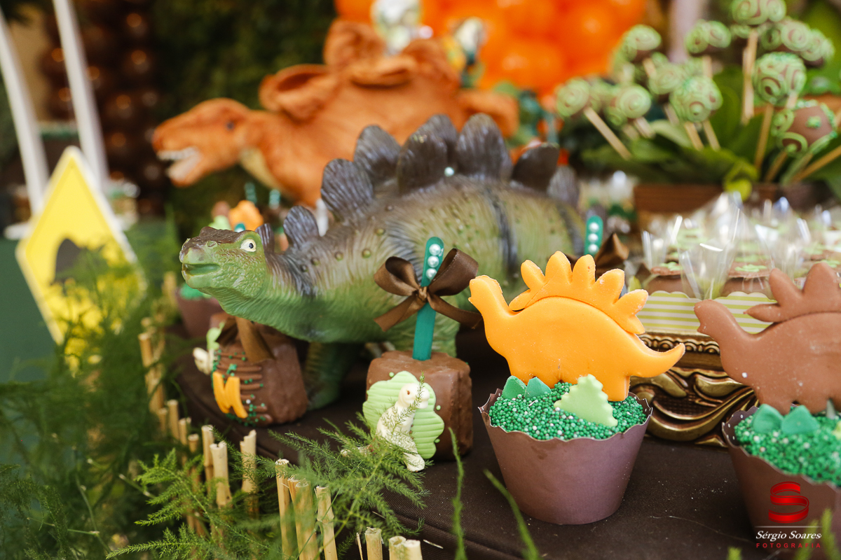 fotografia-fotografo-sergio-soares-cuiaba-mato-grosso-brasil-aniversarios-casamentos-niver-mateus-miguel