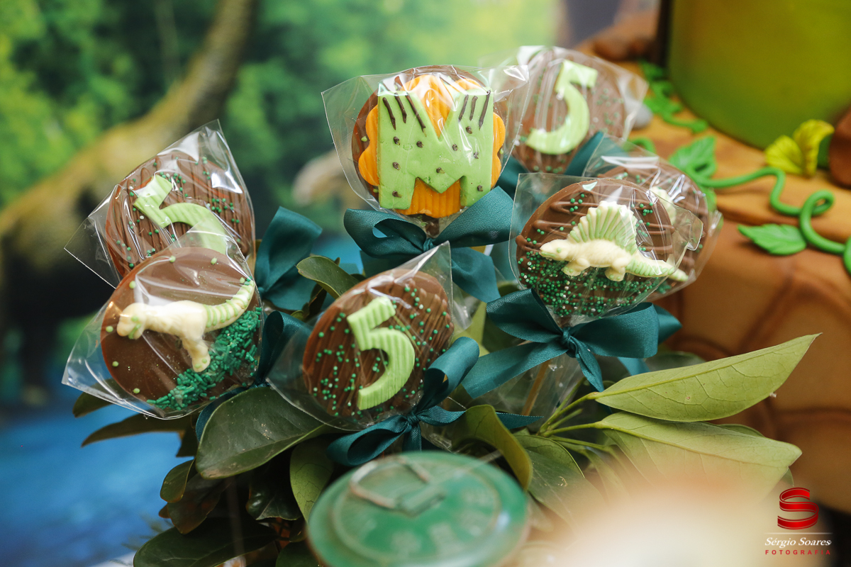 fotografia-fotografo-sergio-soares-cuiaba-mato-grosso-brasil-aniversarios-casamentos-niver-mateus-miguel