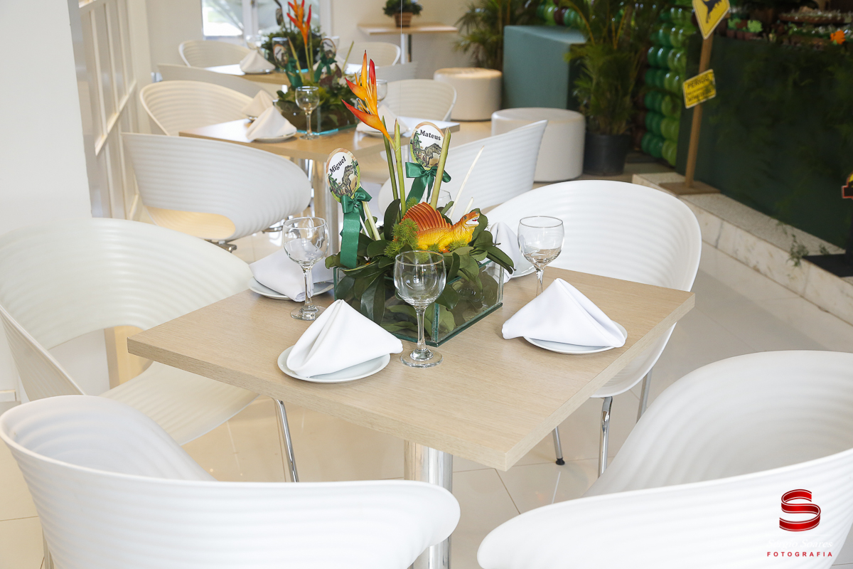 fotografia-fotografo-sergio-soares-cuiaba-mato-grosso-brasil-aniversarios-casamentos-niver-mateus-miguel