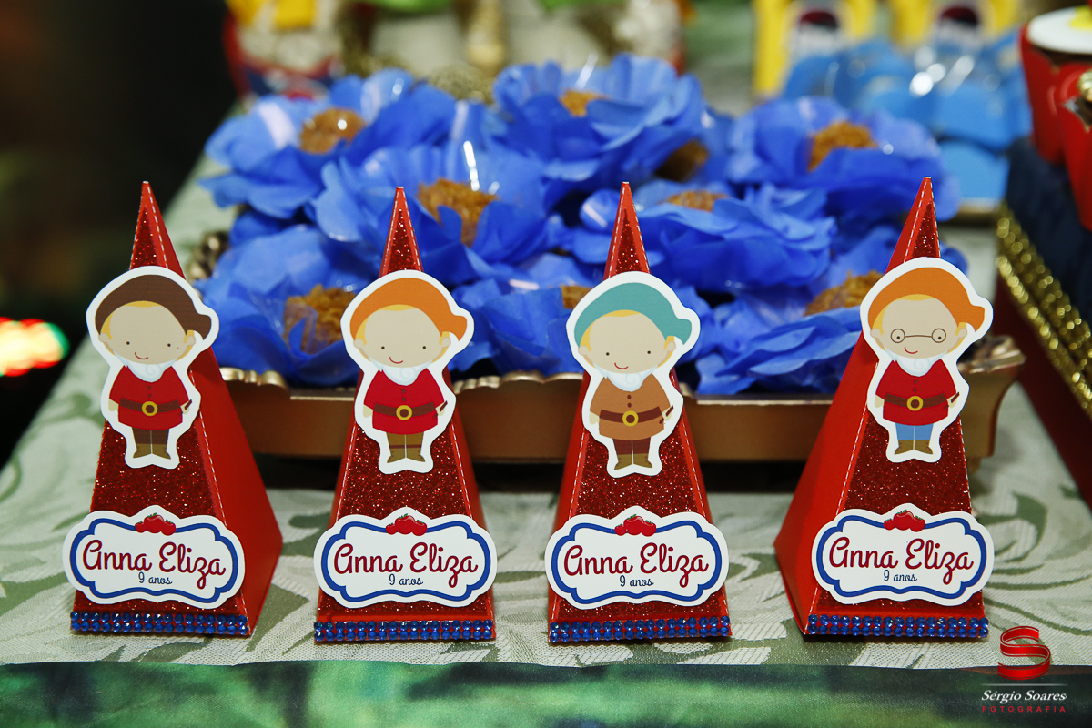 fotografia-fotografo-sergio-soares-cuiaba-brasil-mato-grosso-aniversario-infantil-anna-eliza