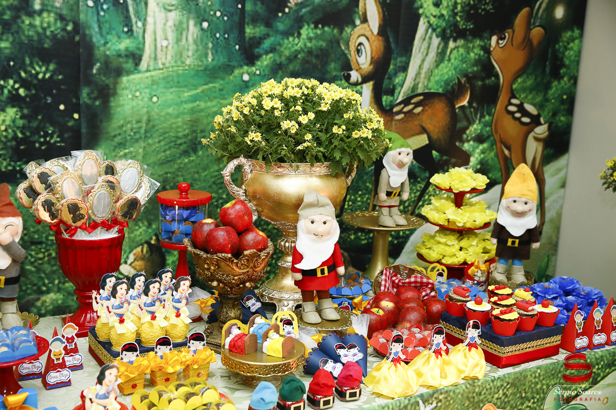 fotografia-fotografo-sergio-soares-cuiaba-brasil-mato-grosso-aniversario-infantil-anna-eliza