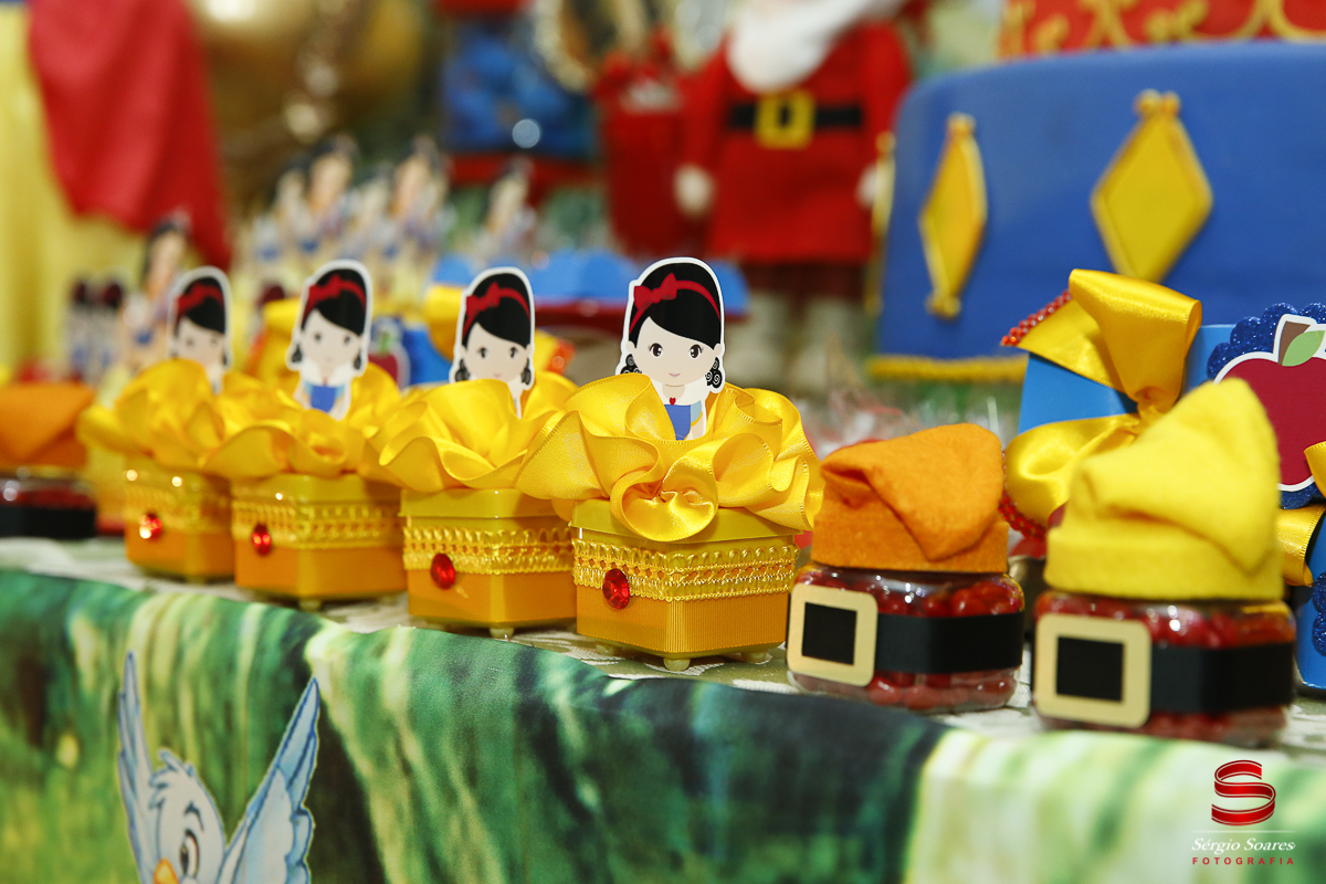 fotografia-fotografo-sergio-soares-cuiaba-brasil-mato-grosso-aniversario-infantil-anna-eliza