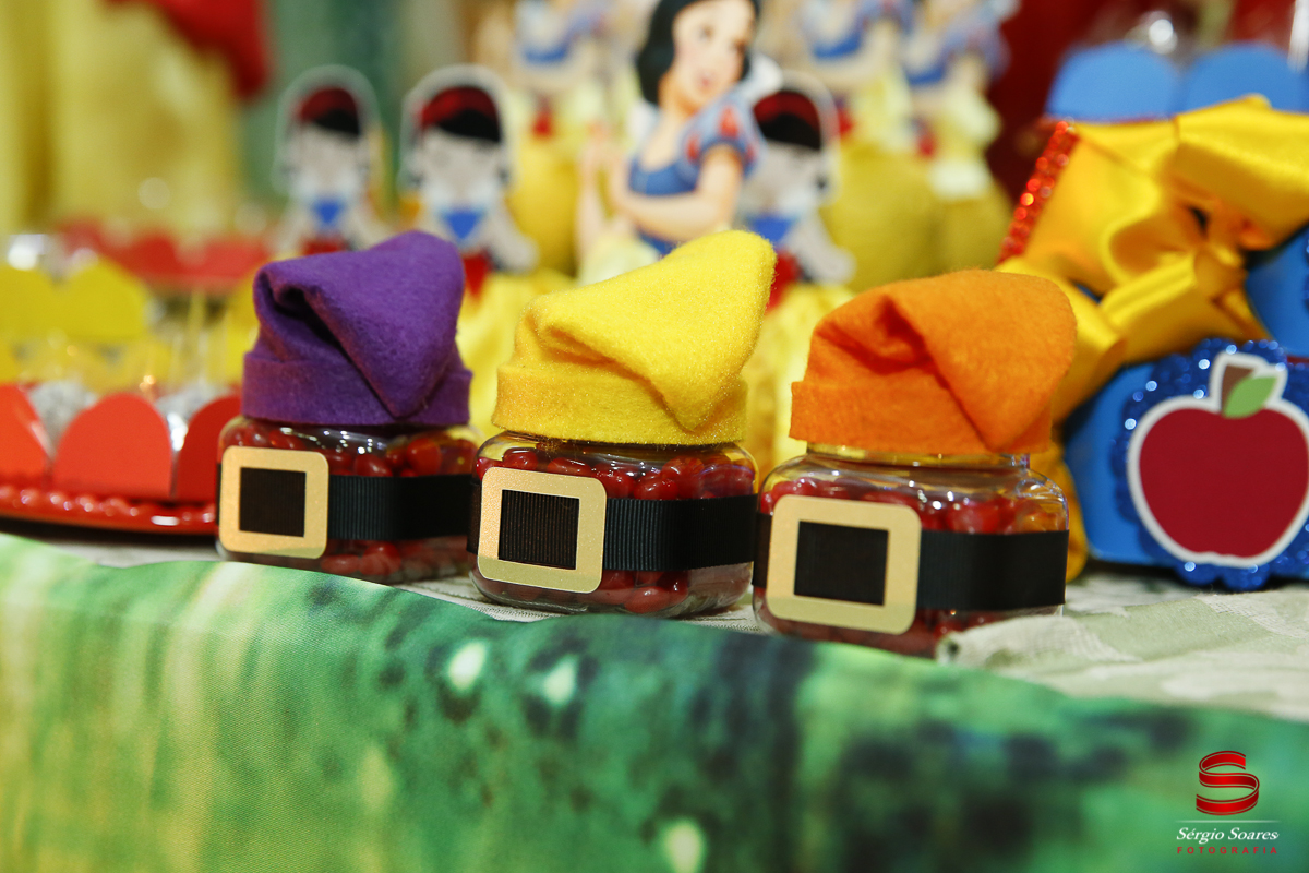 fotografia-fotografo-sergio-soares-cuiaba-brasil-mato-grosso-aniversario-infantil-anna-eliza