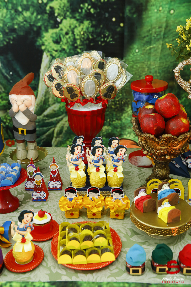 fotografia-fotografo-sergio-soares-cuiaba-brasil-mato-grosso-aniversario-infantil-anna-eliza