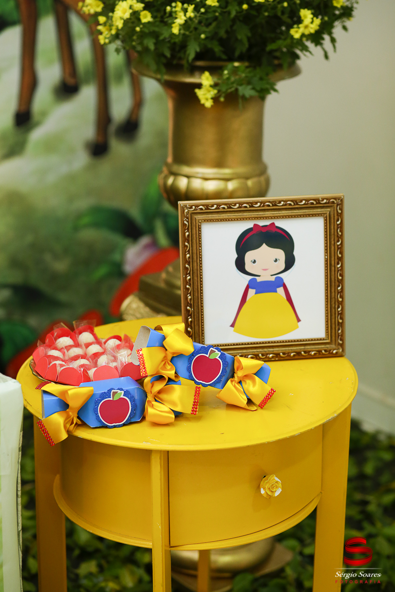 fotografia-fotografo-sergio-soares-cuiaba-brasil-mato-grosso-aniversario-infantil-anna-eliza