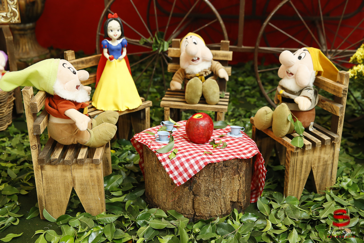 fotografia-fotografo-sergio-soares-cuiaba-brasil-mt-niver-maria-fernanda-branca-de-neve