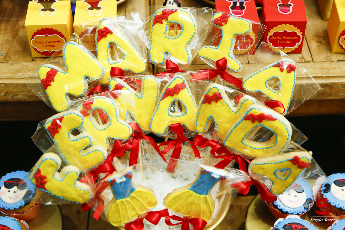 fotografia-fotografo-sergio-soares-cuiaba-brasil-mt-niver-maria-fernanda-branca-de-neve