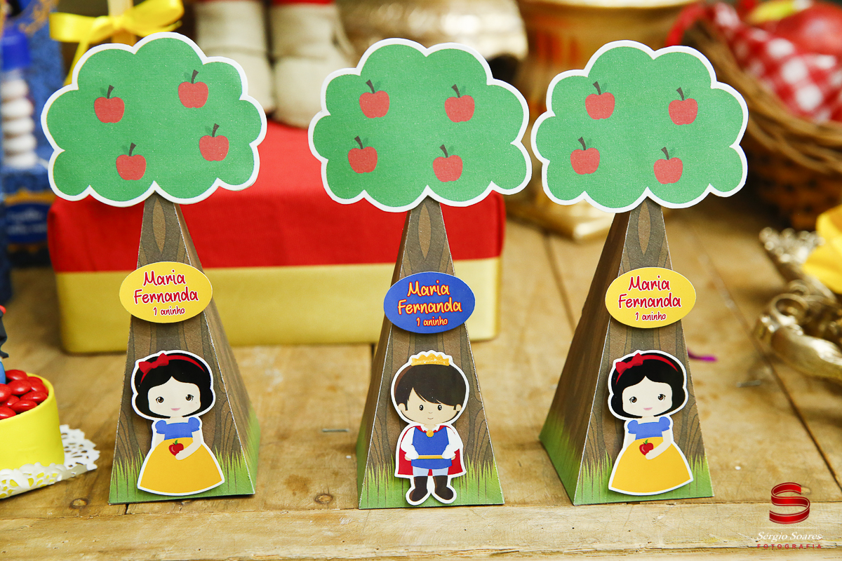 fotografia-fotografo-sergio-soares-cuiaba-brasil-mt-niver-maria-fernanda-branca-de-neve