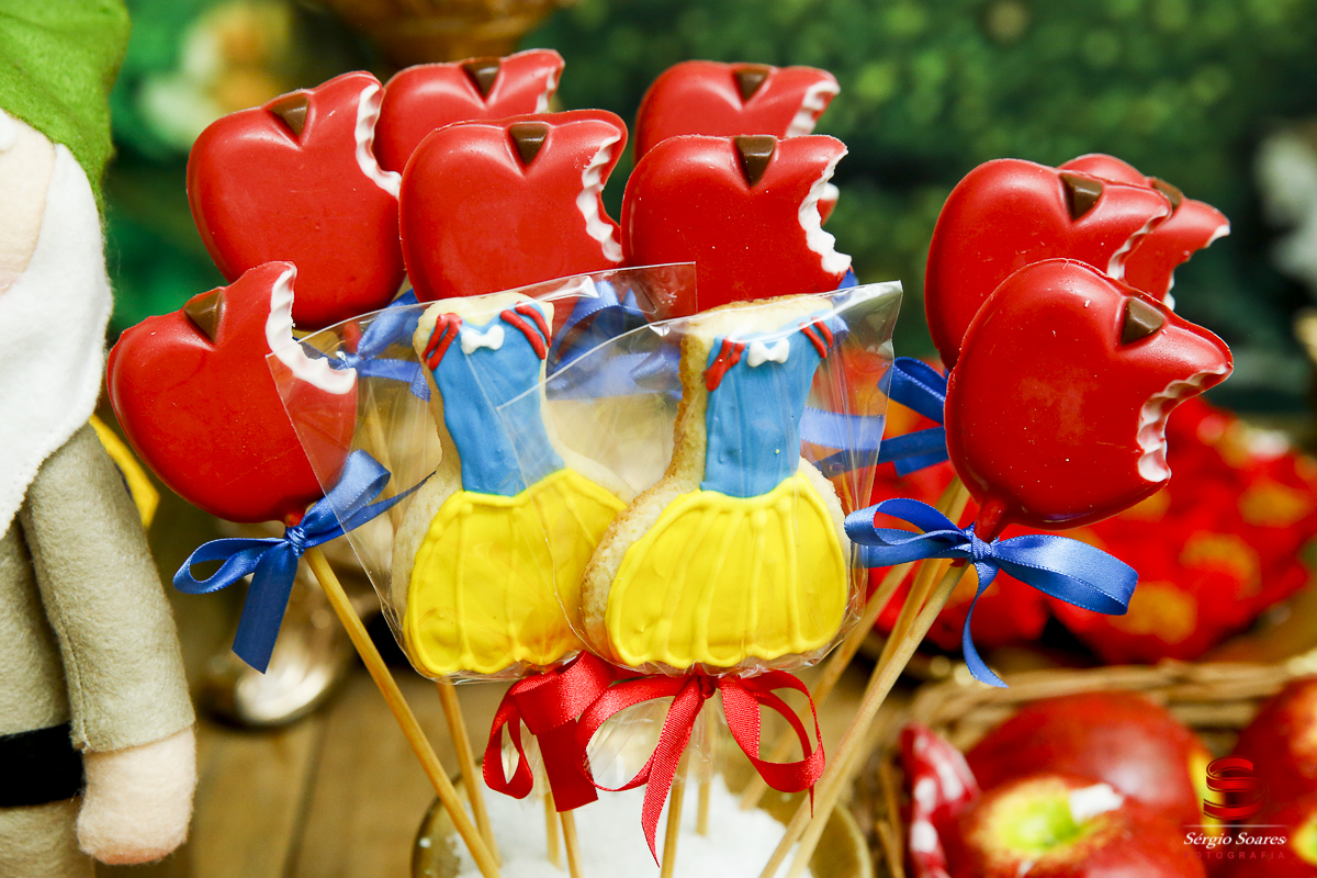 fotografia-fotografo-sergio-soares-cuiaba-brasil-mt-niver-maria-fernanda-branca-de-neve