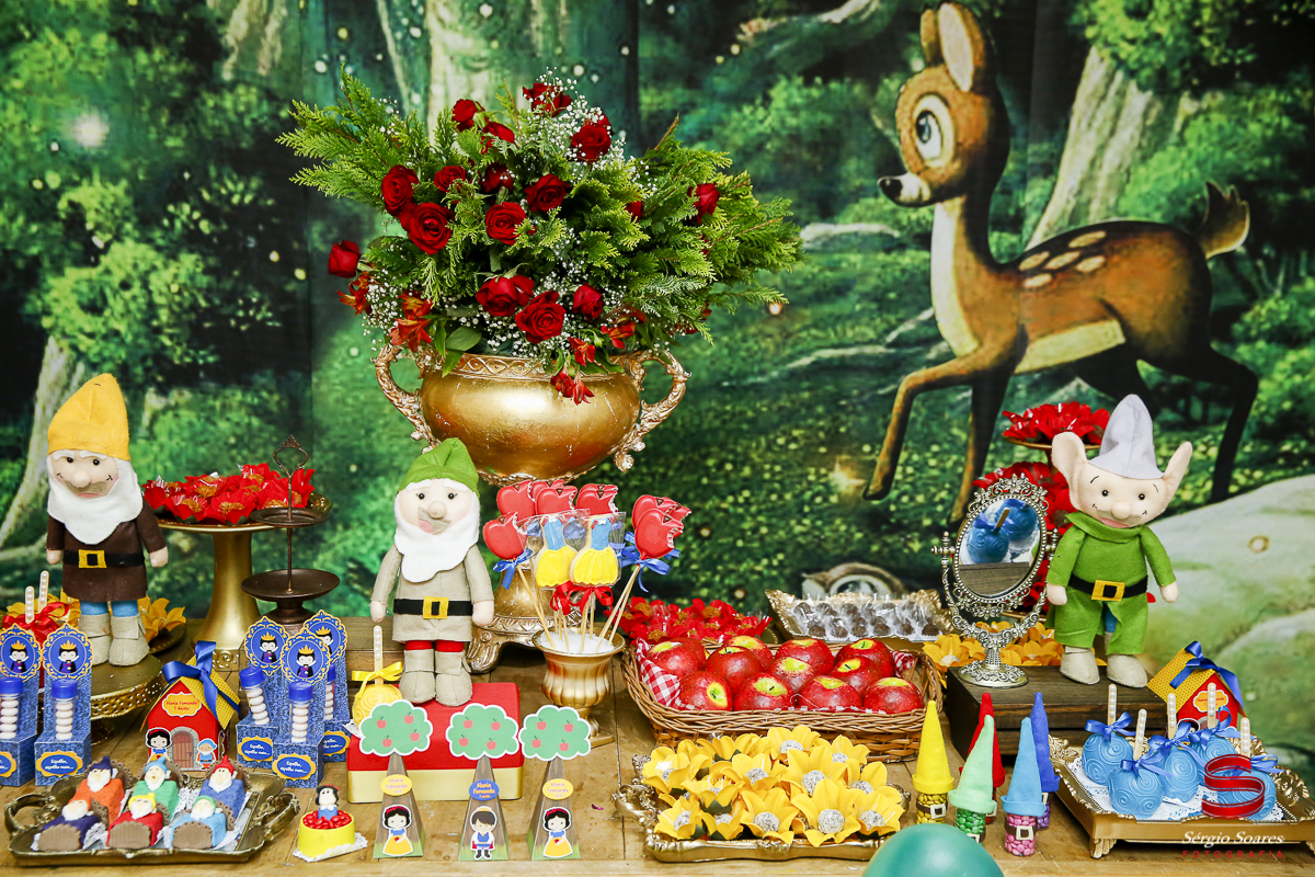 fotografia-fotografo-sergio-soares-cuiaba-brasil-mt-niver-maria-fernanda-branca-de-neve