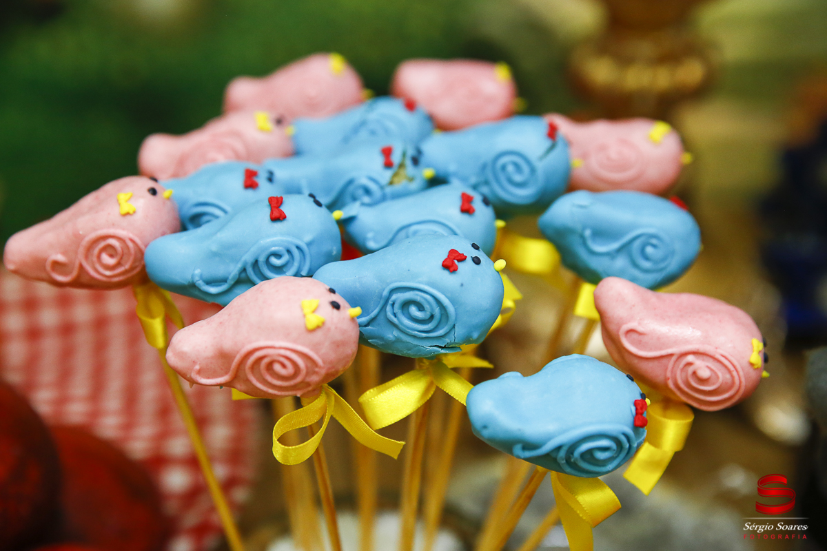 fotografia-fotografo-sergio-soares-cuiaba-brasil-mt-niver-maria-fernanda-branca-de-neve