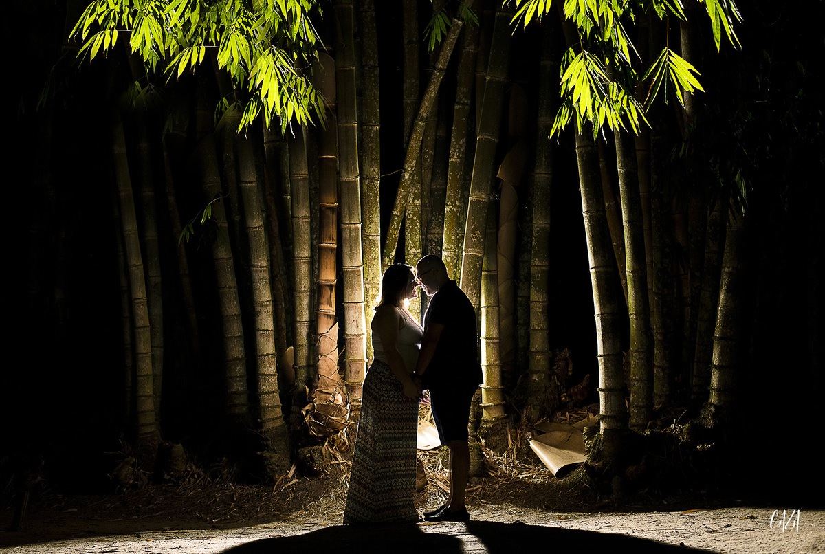 fotografia de gestante silhueta parque da cidade são José dos campos