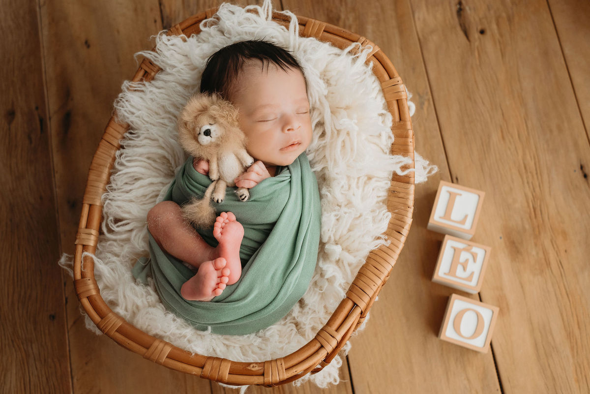 bebe enrolado em paninho verde deitado segurando um leão de feltro com cubos no chão escrito LEO