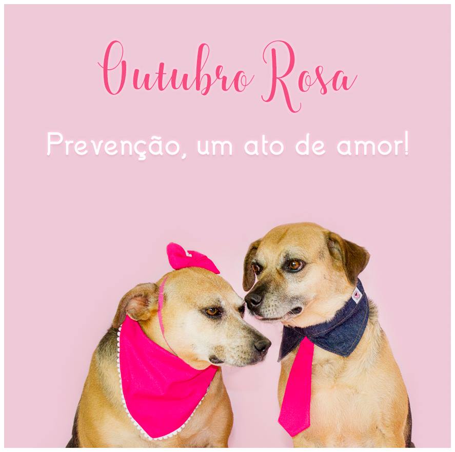 Imagem capa - Outubro Rosa Pet por Retratinhos Pet