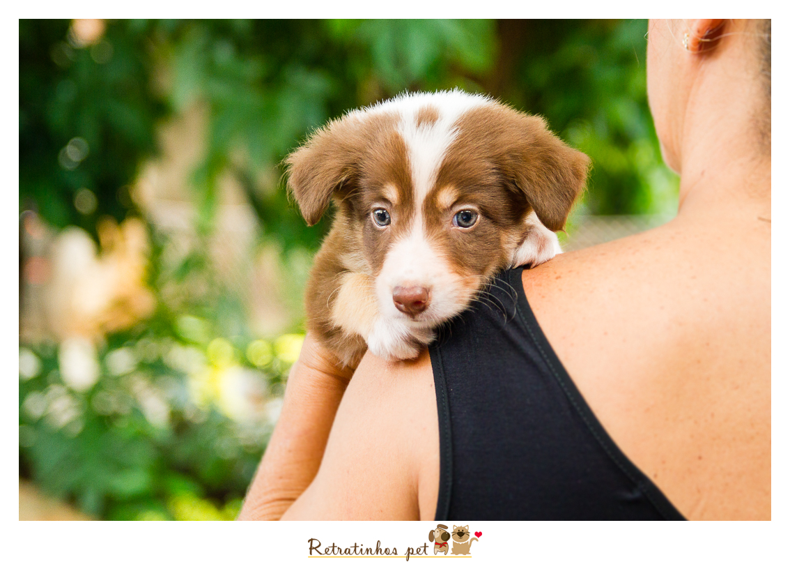 Imagem capa - 3º Encontro de Raças - Todas as Raças por Retratinhos Pet