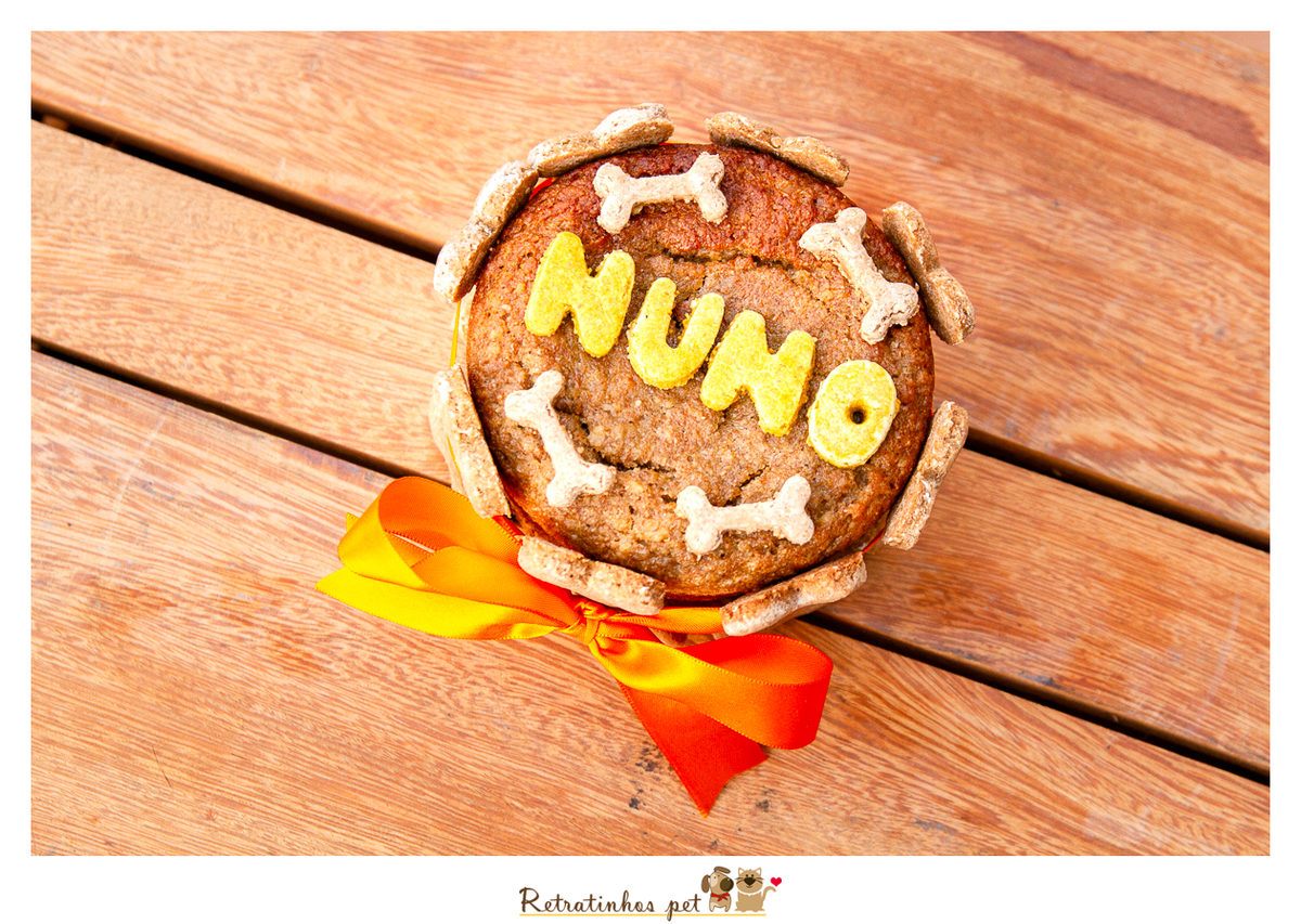 Imagem capa - Festa de Aniversário Pet! Como fazer? por Retratinhos Pet