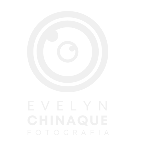 Logotipo de Evelyn Chinaque Romero