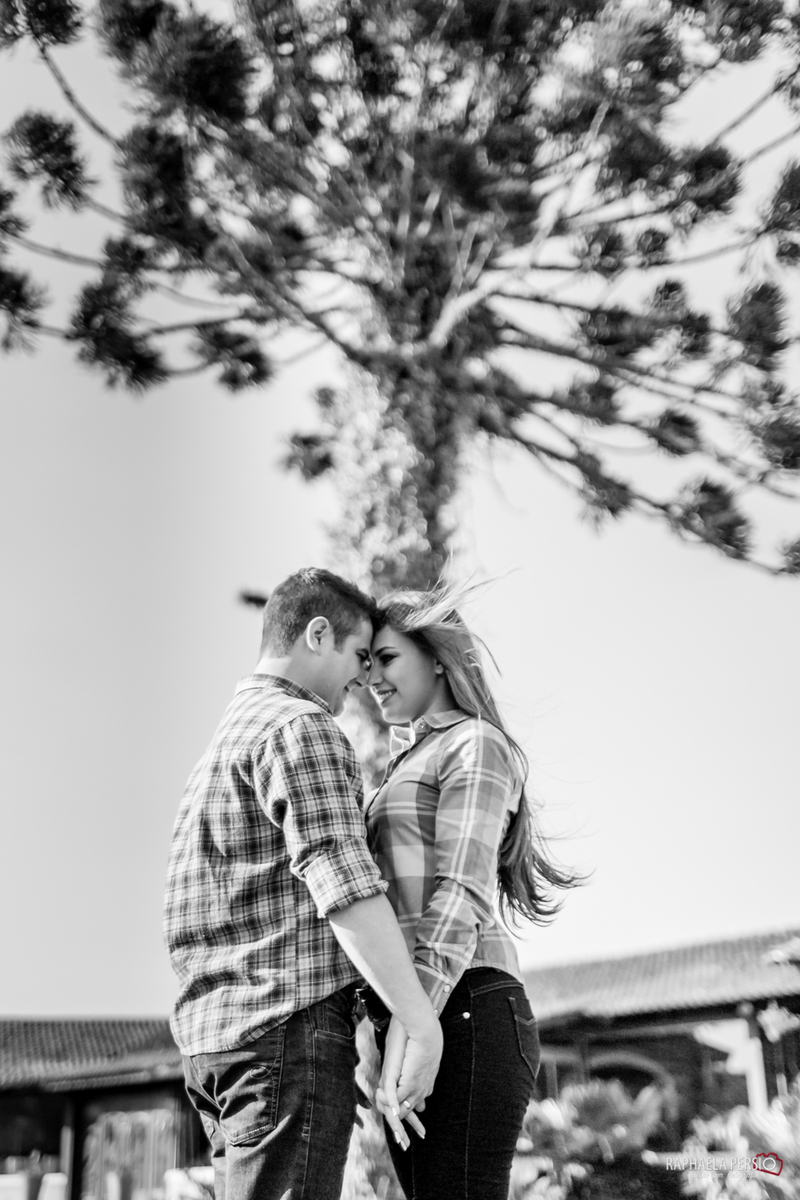 Haras Fortaleza, book com cavalos, book noivos cavalos, ensaio noivos cavalos, ensaio no haras, book no haras, sessão fotografica haras, ensaio haras fortaleza, book haras fortaleza, noivos haras fortaleza, book curitiba, casamento curitiba, fotogr