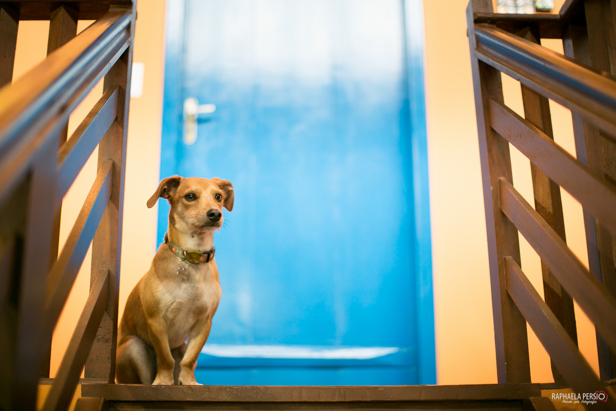 gestante, ensaio gestante, book gestante, estudio curitiba, fotografo curitiba, fotografia de gestante curitiba, estudio fotografico