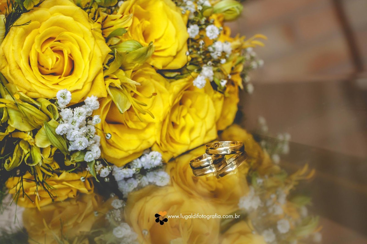 casamento, wedding, civil , Julia e Bruno , fotografado por Lu Galdi Fotografia , na cidade de Piracicaba/SP , registrando um dia especial , amor , Hotel beira Rio , Churrascaria Cupim do Tchê .