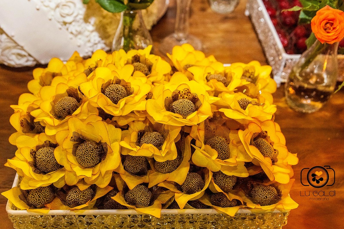 Fotos tiradas por Lu Galdi Fotografia , na cidade de Piracicaba , no Espaço Santiago na cidade de Piracicaba/SP