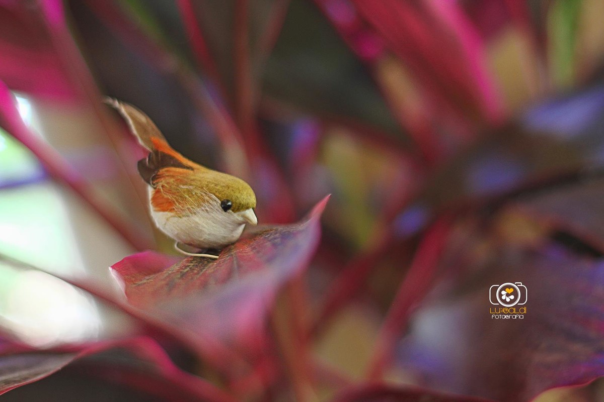 Fotos tiradas por Lu Galdi Fotografia , na cidade de Piracicaba , no Maravilha Eventos , registrando pequenos detalhes .