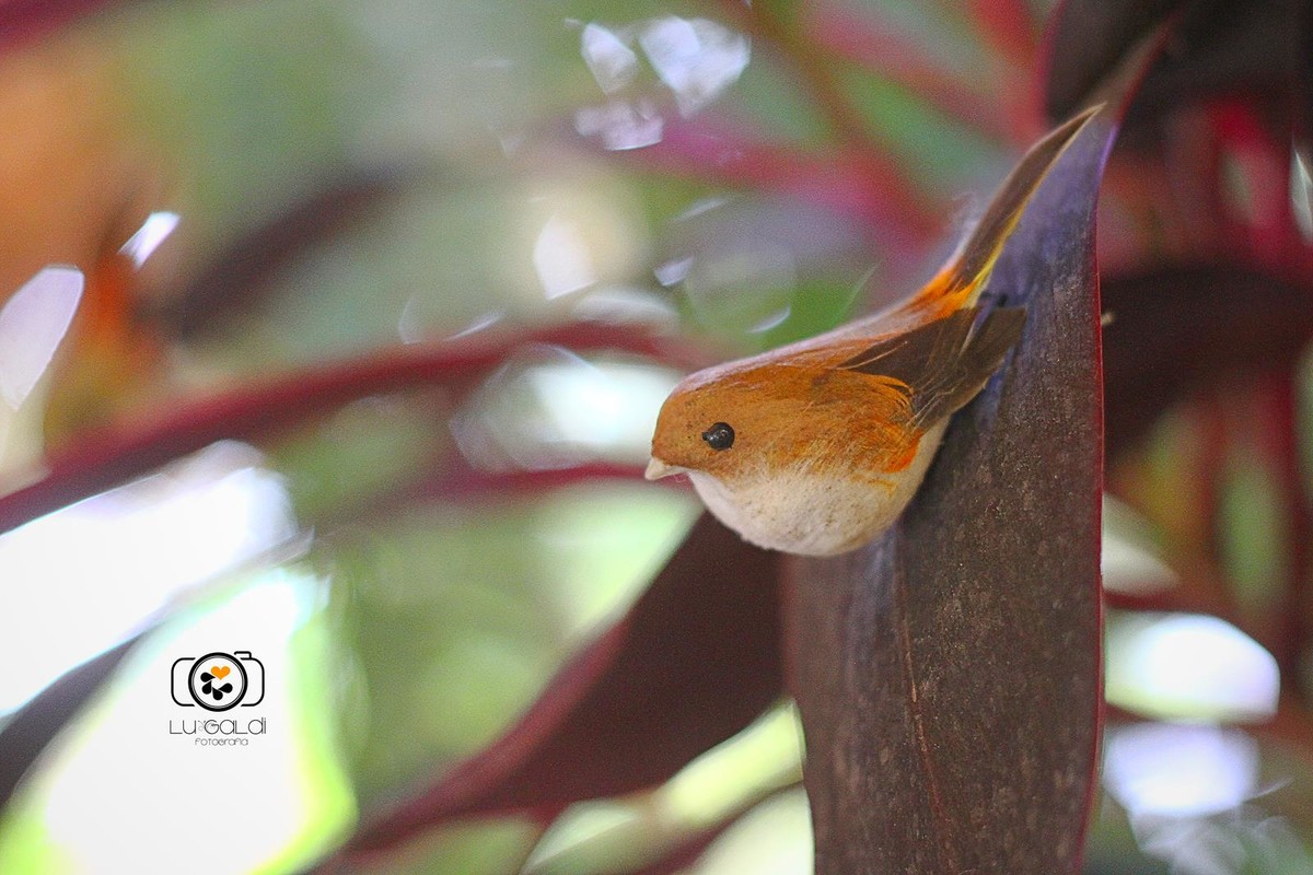 Fotos tiradas por Lu Galdi Fotografia , na cidade de Piracicaba , no Maravilha Eventos , registrando pequenos detalhes .
