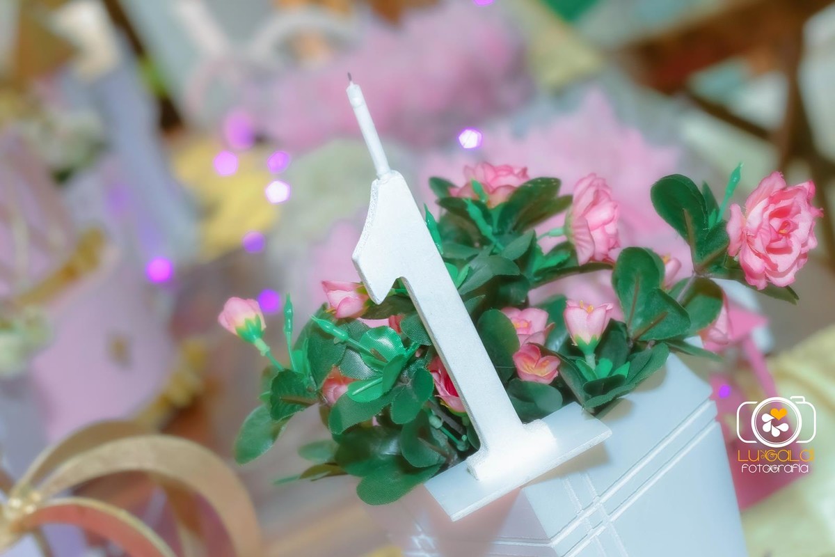 Fotos tiradas por  Lu Galdi Fotografia , em Aniversario Infantil , registrando o  Primeiro Aninho da Thainá , na cidade de Piracicaba/SP em Buffet Serelep .