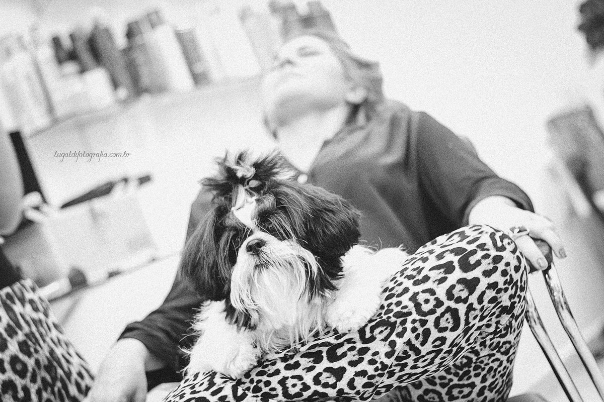 Fotos tiradas por Lu Galdi Fotografia , registrando os 15 anos de Ana Julia Andreolli , na cidade de Piracicaba/SP , no Buffet Celebrare .