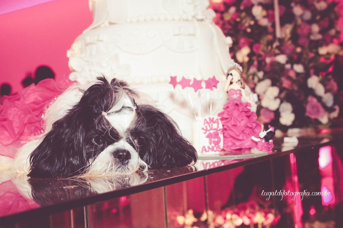Fotos tiradas por Lu Galdi Fotografia , registrando os 15 anos de Ana Julia Andreolli , na cidade de Piracicaba/SP , no Buffet Celebrare .