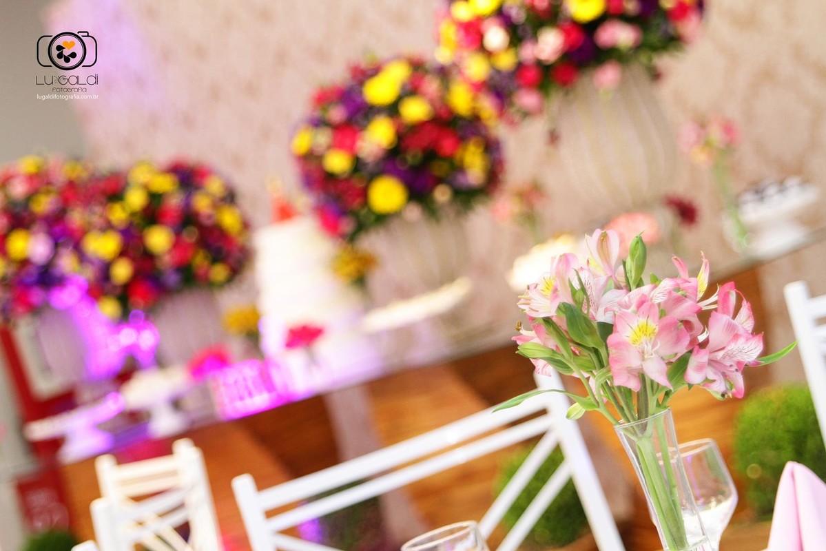 Fotos tiradas por Lu Galdi Fotografia , registrando o dia especial de Heloisa Nicoletti , 15 anos , debutante , na cidade de Piracicaba/SP , no Espaço  Portal Festas e Eventos , com Buffet D'or , decoração Gisele Delamutta