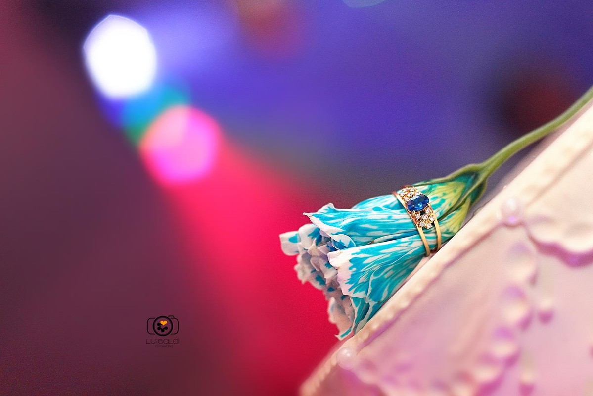 Fotos tiradas por Lu Galdi Fotografia, em Aniversario de 15 anos , de Gabriela , na cidade de Piracicaba/SP , em Espaço Buffet Toque de Amor , registrando um dia especial , com muitas emoções !