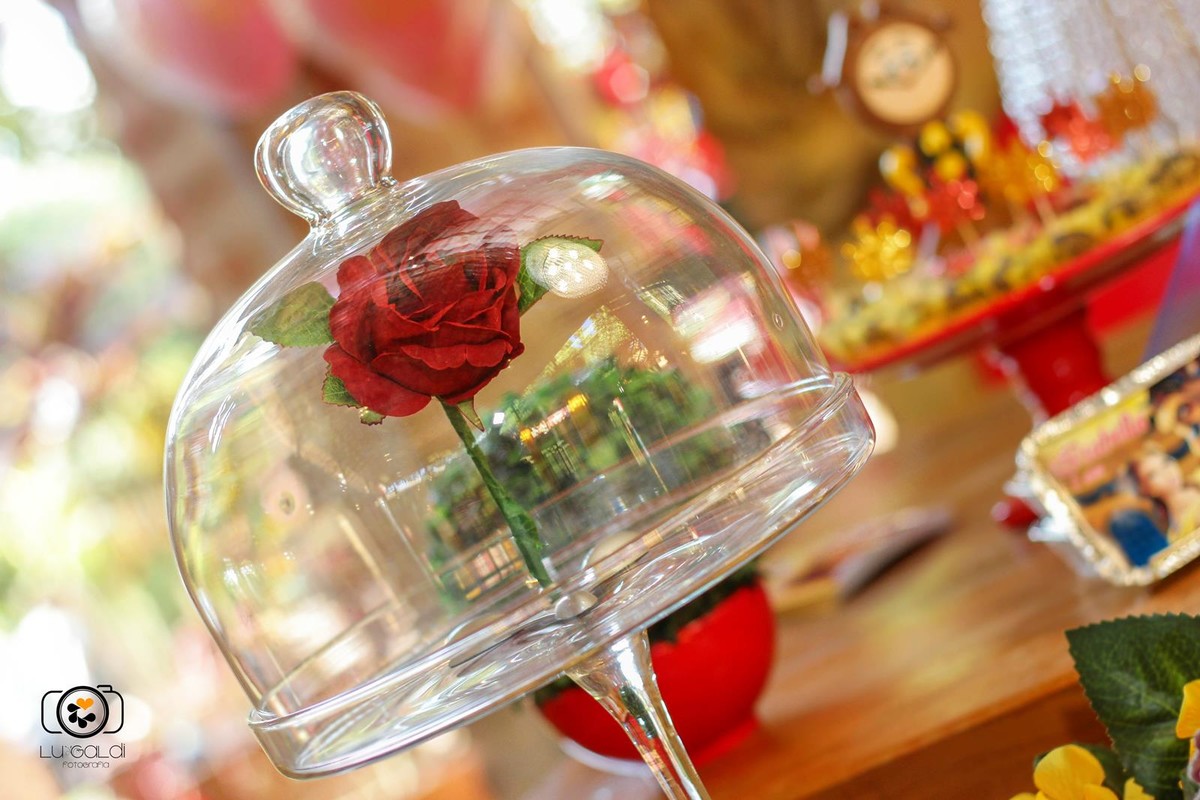 Fotos tiradas por Lu Galdi Fotografia , decoração , Primeiro Aninho , salão de festas Maravilha Eventos , na cidade de Piracicaba/SP