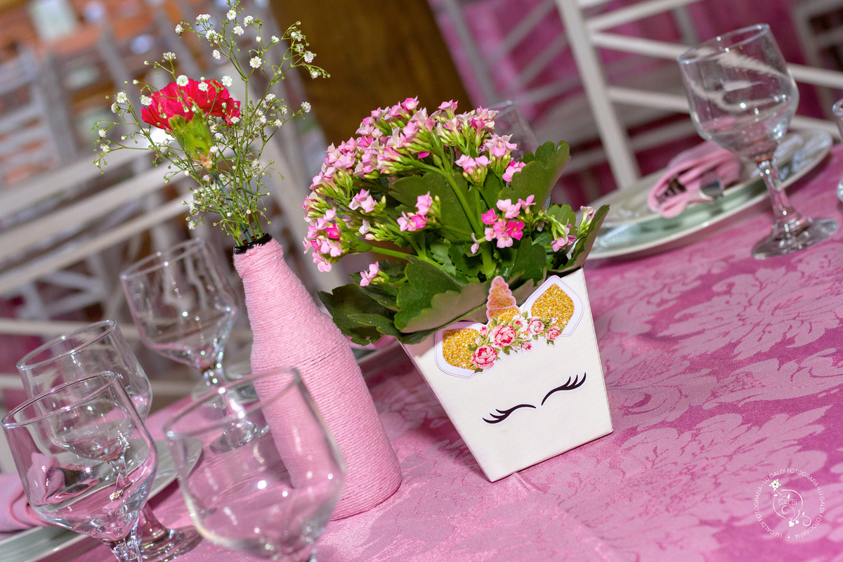 aniversario,primeiro aninho , fotos tiradas por Lu Galdi Fotografia , cidade Piracibaba , SP 