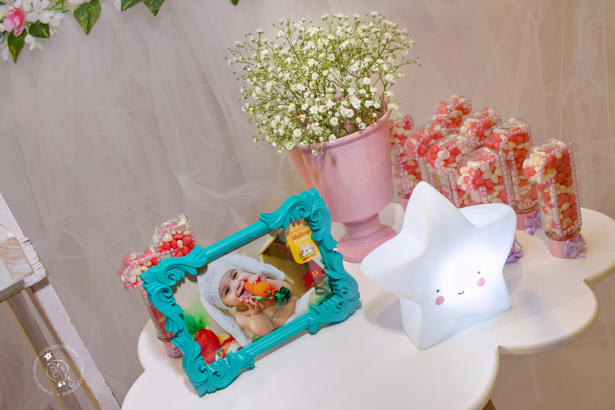 aniversario,primeiro aninho , fotos tiradas por Lu Galdi Fotografia , cidade Piracibaba , SP 