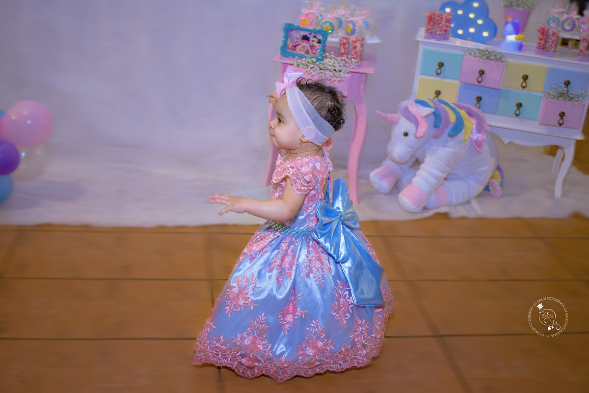 aniversario,primeiro aninho , fotos tiradas por Lu Galdi Fotografia , cidade Piracibaba , SP 