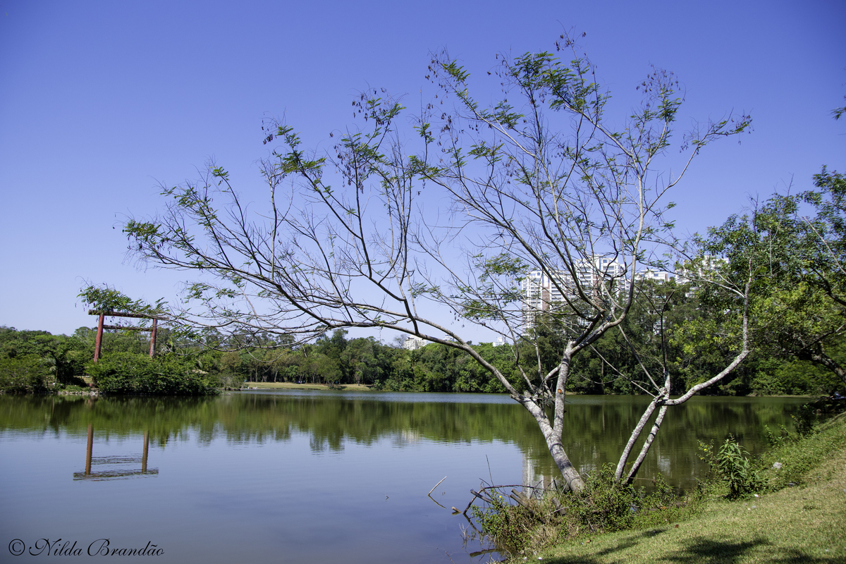 Vista do parque centenario, em Mogi das Cruzes